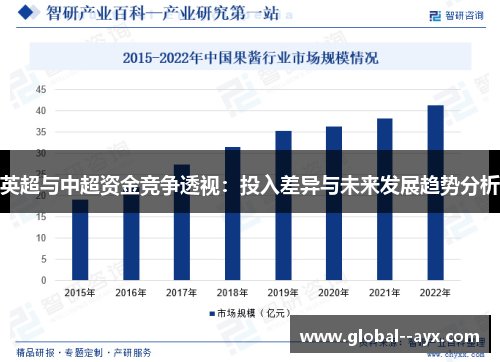 英超与中超资金竞争透视：投入差异与未来发展趋势分析