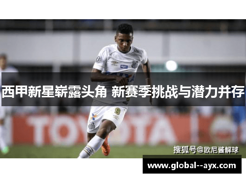 西甲新星崭露头角 新赛季挑战与潜力并存 西甲新星崭露头角 新赛季挑战与潜力并存