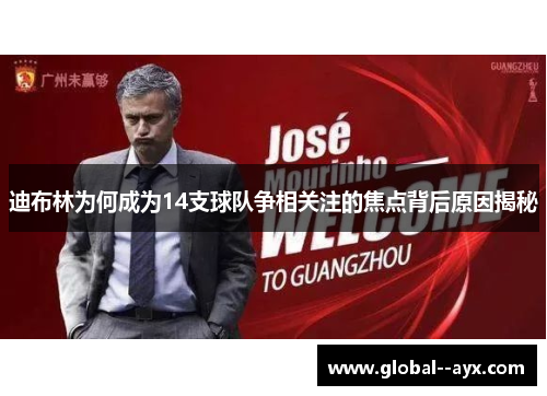 迪布林为何成为14支球队争相关注的焦点背后原因揭秘 迪布林为何成为14支球队争相关注的焦点背后原因揭秘