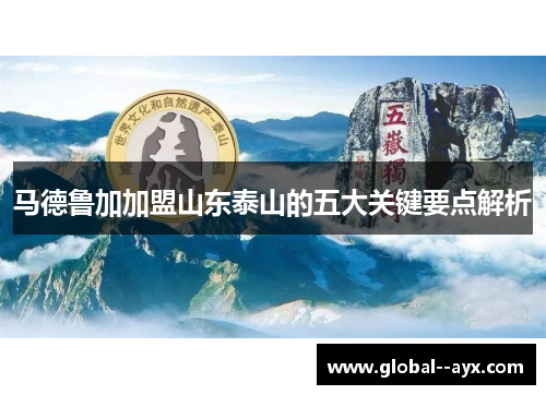马德鲁加加盟山东泰山的五大关键要点解析 马德鲁加加盟山东泰山的五大关键要点解析