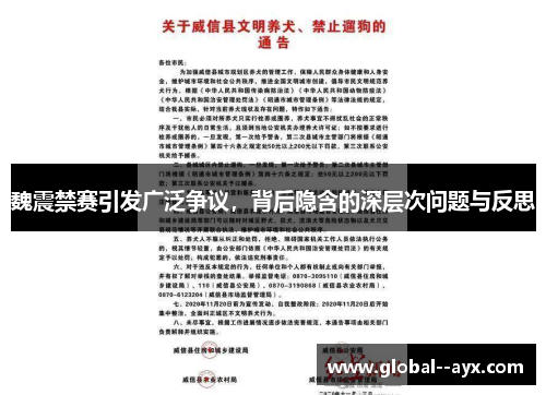 魏震禁赛引发广泛争议,背后隐含的深层次问题与反思 魏震禁赛引发广泛争议,背后隐含的深层次问题与反思
