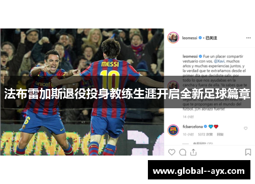 法布雷加斯退役投身教练生涯开启全新足球篇章 法布雷加斯退役投身教练生涯开启全新足球篇章
