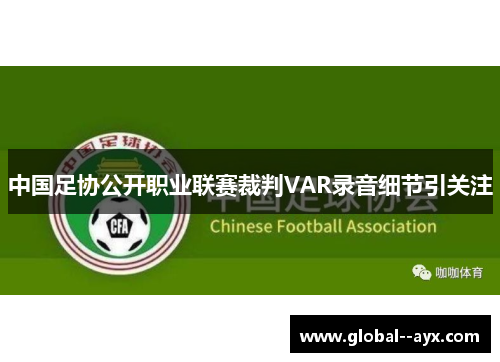 中国足协公开职业联赛裁判VAR录音细节引关注 中国足协公开职业联赛裁判VAR录音细节引关注