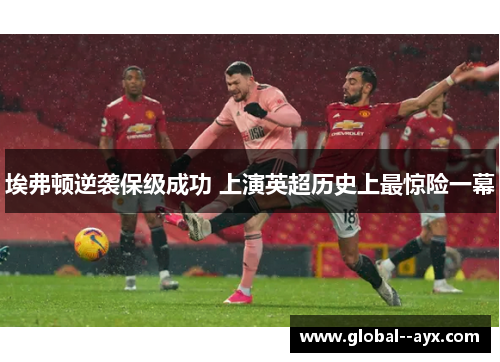 埃弗顿逆袭保级成功 上演英超历史上最惊险一幕 埃弗顿逆袭保级成功 上演英超历史上最惊险一幕