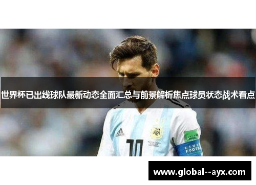 世界杯已出线球队最新动态全面汇总与前景解析焦点球员状态战术看点
